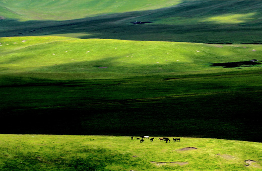 内蒙古迪士牛食品有限公司